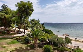 Entire Appartment 50M From Sea - Spiros
